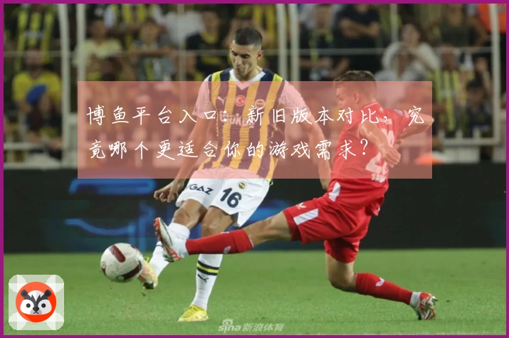 博鱼平台入口:新旧版本对比,究竟哪个更适合你的游戏需求?