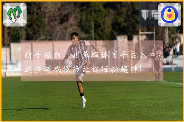 新手福利！进熊猫体育平台入口，这些游戏技巧让你轻松超神！