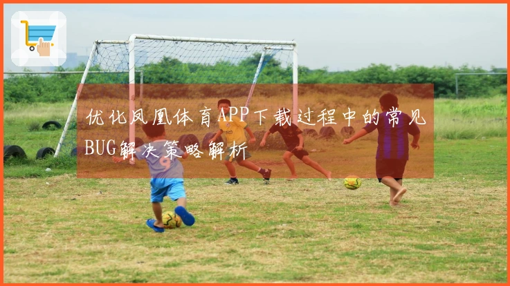 优化凤凰体育APP下载过程中的常见BUG解决策略解析