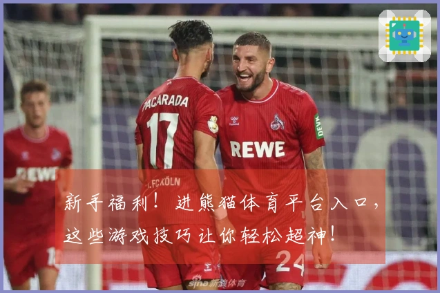 新手福利！进熊猫体育平台入口，这些游戏技巧让你轻松超神！